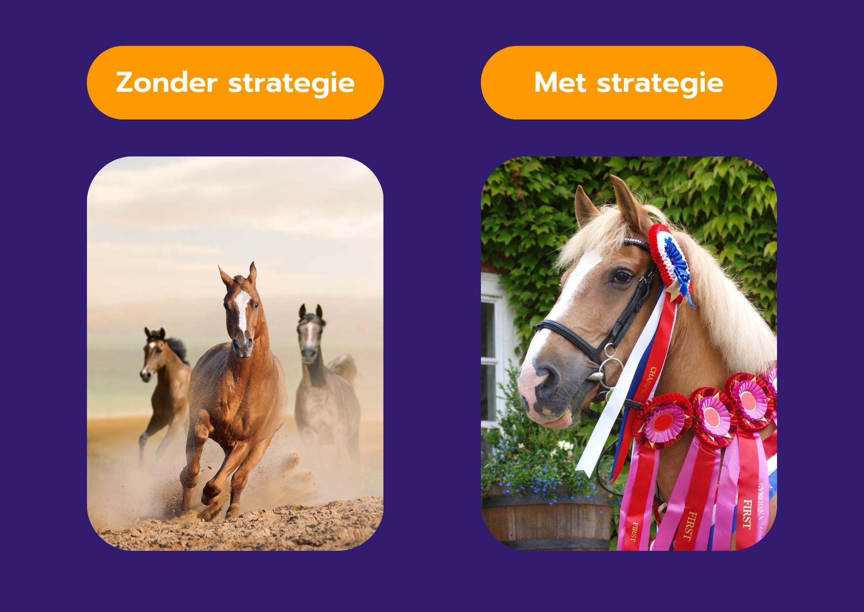 Vergelijking online marketingstrategie Links zie je de paarden zonder strategie: prachtig, maar doelloos. Rechts zie je het paard met strategie: nog steeds prachtig, en een prijzenpakker.